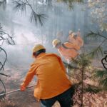 Reporta SDR 11 incendios forestales activos en Chihuahua este sábado